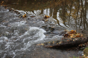 Fotografia intitulada "Ruisseau d'automne" por Michèle Baylet-Brunet, Obras de arte originais, Fotografia digital