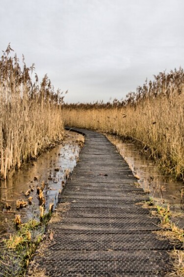 Photographie intitulée "10" par Michelle Jaegers-Delagrange, Œuvre d'art originale