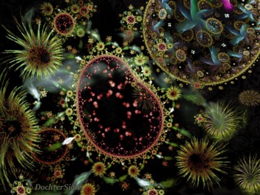 数字艺术 标题为“Plankton” 由Mies De Graaf, 原创艺术品, 2D数字工作