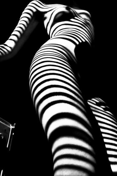 Fotografia intitulada "Surreal zebra" por Mikhail Faletkin, Obras de arte originais, Fotografia digital