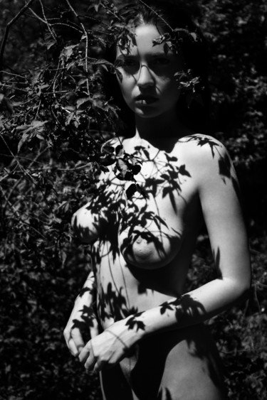Фотография под названием "Forest shadows 2" - Mikhail Faletkin, Подлинное произведение искусства, Цифровая фотография