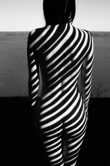 Fotografie getiteld "zebra 19" door Mikhail Faletkin, Origineel Kunstwerk, Digitale fotografie