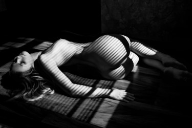Фотография под названием "zebra 3" - Mikhail Faletkin, Подлинное произведение искусства, Цифровая фотография
