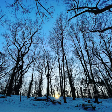 "Before sunset" başlıklı Fotoğraf Miler Art tarafından, Orijinal sanat, Dijital Fotoğrafçılık