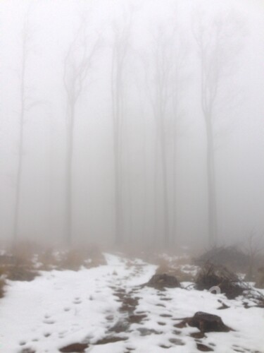 Photographie intitulée "The fog mood 2" par Miler Art, Œuvre d'art originale, Photographie numérique