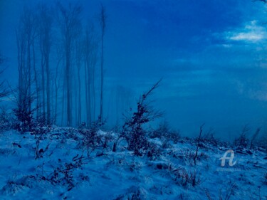 Photographie intitulée "Nothing in Winter" par Miler Art, Œuvre d'art originale, Photographie numérique