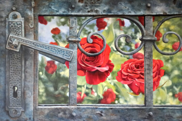 Картина под названием "розы за калиткой" - Milka Lepler, Подлинное произведение искусства, Масло