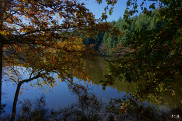 Photographie intitulée "Étang du Moulin Cas…" par Miodrag Aubertin, Œuvre d'art originale