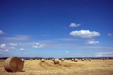 Fotografia zatytułowany „Bottes De Paille 04” autorstwa Miodrag Aubertin, Oryginalna praca