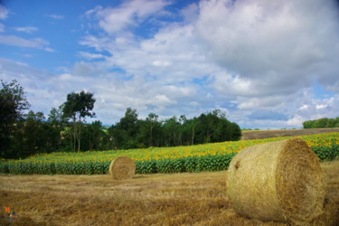 Fotografia zatytułowany „Bottes De Paille 05” autorstwa Miodrag Aubertin, Oryginalna praca