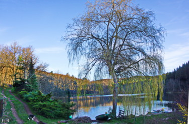 Photography titled "Étang  du Moulin Ca…" by Miodrag Aubertin, Original Artwork