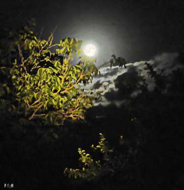 Fotografia intitulada "Clair de lune 18" por Miodrag Aubertin, Obras de arte originais