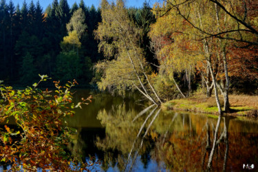 Фотография под названием "couleurs d'automne…" - Miodrag Aubertin, Подлинное произведение искусства