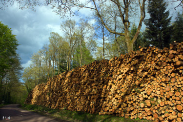 Photographie intitulée "Tas de bois" par Miodrag Aubertin, Œuvre d'art originale