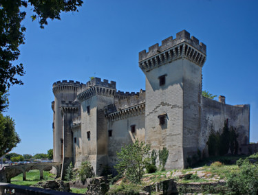 Fotografia intitulada "Château de Tarascon…" por Miodrag Aubertin, Obras de arte originais
