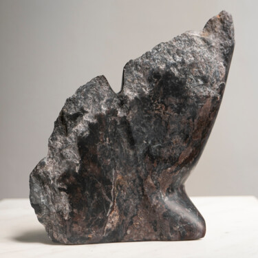 Escultura intitulada "Ginkgo" por Mirjam De Nijs, Obras de arte originais, Pedra