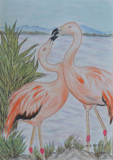 Schilderij getiteld "Flamants roses  "Pa…" door Marie-Josée Reyes, Origineel Kunstwerk, Pastel