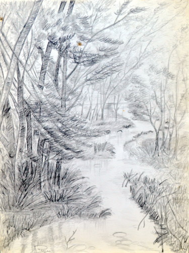 Drawing titled "Rivière dans un sou…" by Marie-Josée Reyes, Original Artwork, Pencil