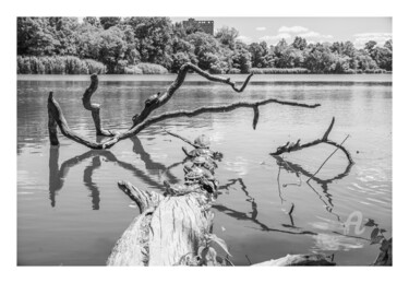 Fotografia intitulada "Lake" por Michaël B. (mkb_9t), Obras de arte originais, Fotografia digital