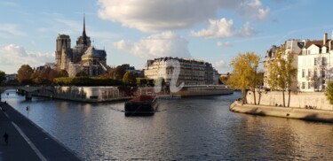 "Notre-Dame de Paris" başlıklı Fotoğraf Marie-Louise Trichet tarafından, Orijinal sanat, Fotoşopsuz fotoğraf
