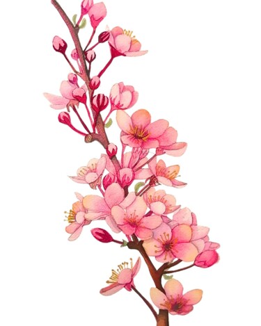 Pintura intitulada "Flores de cerezo" por Mónica Tejero Green, Obras de arte originais, Aquarela