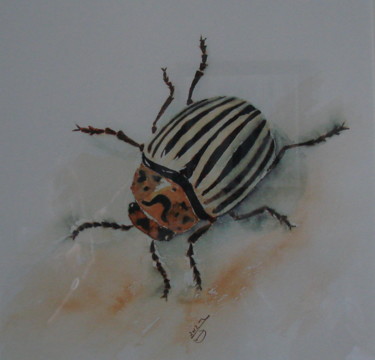 Peinture intitulée "INSECTE 2" par Monique Darry, Œuvre d'art originale, Aquarelle