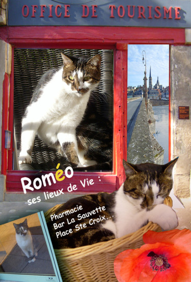 Arts numériques intitulée "ROMEO chat mascotte…" par Arts Monyk, Œuvre d'art originale