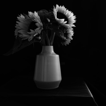 Photography titled "Sunflowers" by Monochrome Renditions, Original Artwork, Digital Photography