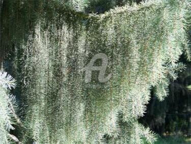 Digitale Kunst getiteld "Arborétum 6" door Morganv6, Origineel Kunstwerk