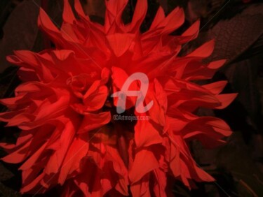 Digital Arts titled "Fleur rouge 2" by Morganv6, Original Artwork