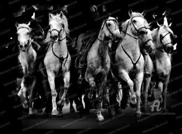Fotografía titulada "camargue cavalli" por Mariano Moriconi, Obra de arte original, Fotografía digital