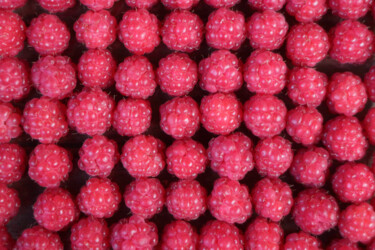 Fotografia intitulada "red berry raspberri…" por Mrivserg, Obras de arte originais, Fotografia digital