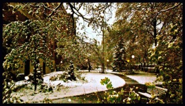 Photographie intitulée "Neiges dans Rosemont" par Michel Robitaille, Œuvre d'art originale