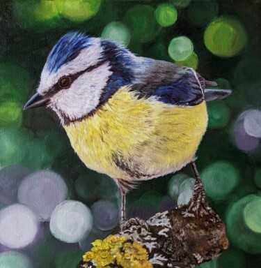 Painting titled "Blue tit" by Muriel Barrat, Original Artwork, Oil Mounted on Wood Stretcher frame