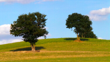 Photographie intitulée "Dialogue aux arbres" par Muriel Cayet, Œuvre d'art originale