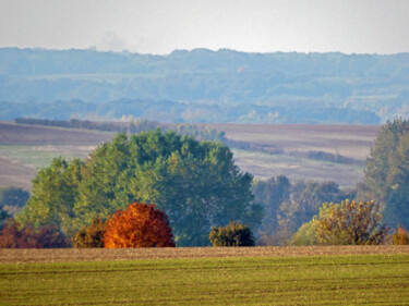 Photographie intitulée "Berry d'automne" par Muriel Cayet, Œuvre d'art originale