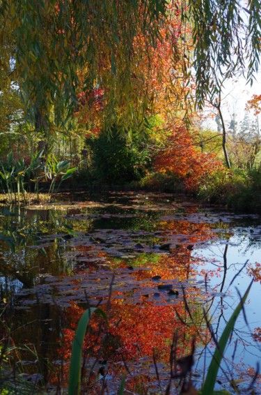 Fotografia intitolato "Début d'automne à G…" da Muriel Besson-Braem, Opera d'arte originale