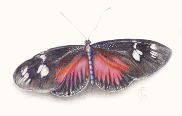 Painting titled "Papillon tropical" by Mylène Goyat, Original Artwork, Watercolor Mounted on Aluminium