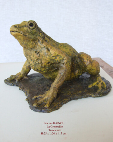 Sculpture intitulée "La grenouille" par Nacera Kaïnou, Œuvre d'art originale, Terre cuite