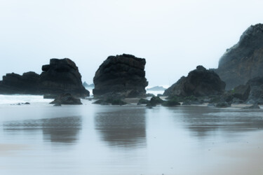 Fotografía titulada "Sentinels" por Nadezda Sharova, Obra de arte original, Fotografía digital