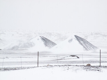 Fotografía titulada "Covered with snow" por Nadezda Sharova, Obra de arte original, Fotografía digital