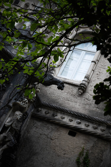 Fotografia zatytułowany „Covered window” autorstwa Nadezda Sharova, Oryginalna praca, Fotografia cyfrowa