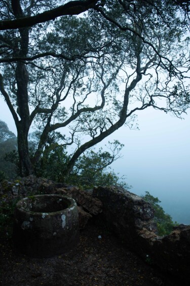 Photographie intitulée "Abandoned well" par Nadezda Sharova, Œuvre d'art originale, Photographie numérique