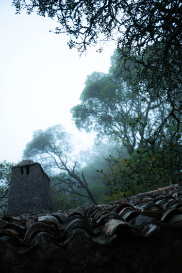 Photography titled "Hut roof" by Nadezda Sharova, Original Artwork, Digital Photography