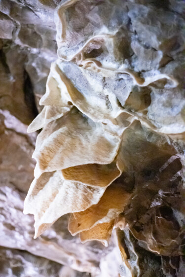 Fotografia zatytułowany „Stone petals” autorstwa Nadezda Sharova, Oryginalna praca, Fotografia cyfrowa