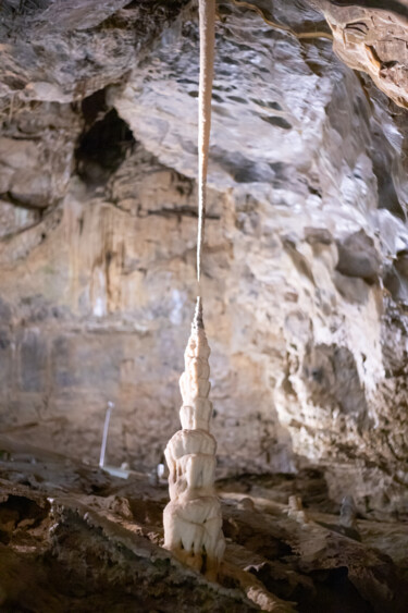 Fotografia intitolato "The needle" da Nadezda Sharova, Opera d'arte originale, Fotografia digitale