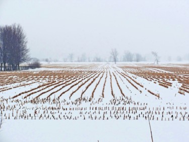 Photography titled "Rural winter bleakn…" by Nadine Mitchell, Original Artwork