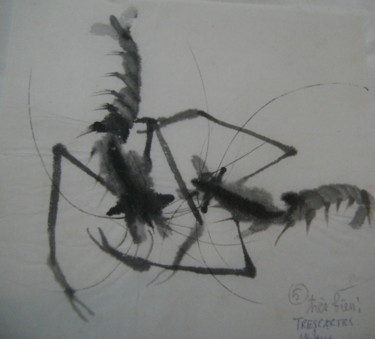 Zeichnungen mit dem Titel "Crevettes1" von Nadine Trescartes (fildefériste), Original-Kunstwerk, Tinte