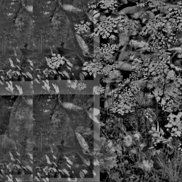 Digitale Kunst mit dem Titel "Forêt, Forêt Verte…" von Nana Plamadeala-Kiritchenko, Original-Kunstwerk, Fotomontage