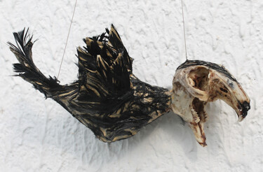 Sculpture titled "Le petit déplumé" by Nancy Cardinal, Original Artwork, Paper maché